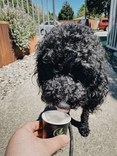 The Coffee Drop - Hospitality and gastronomy