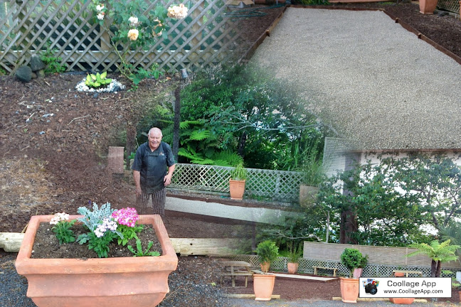 Down Thyme Restaurant & Cafe - Hospitality and gastronomy