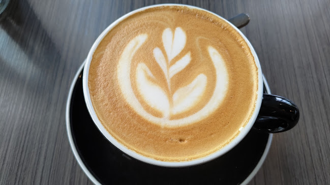 Town Tonic Auckland - Hospitality and gastronomy