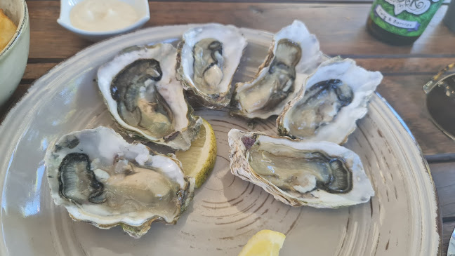 Comentarii opinii despre Hone's Garden