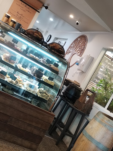 Opinii despre Cafe Dynasti în Rotorua - Hospitality and gastronomy