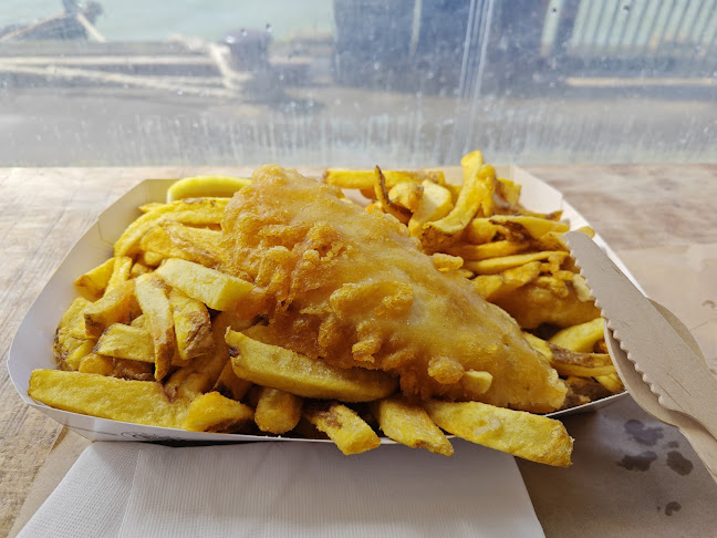 Raglan Fish - Raglan