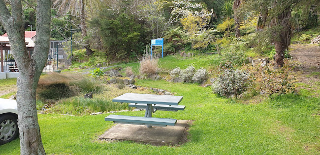 Domain Cottage Cafe - Te Aroha