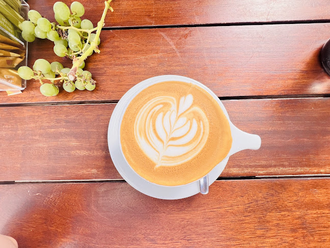 Altura Coffee Company