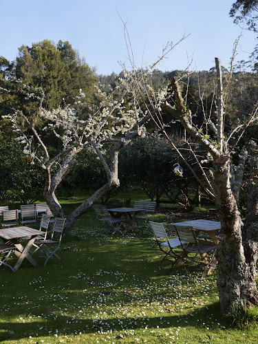 Colenso Country Cafe [ Cafe | Gift Shop | Orchard ] - Whenuakite