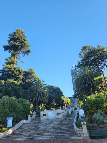 Mama Cod Tiki Bar | Cuisine - Hospitality and gastronomy