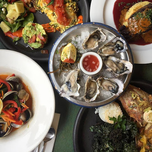 Opinii despre Plato în Dunedin - Hospitality and gastronomy