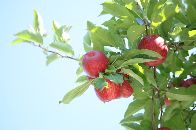 Riverland Fruit Company - Hospitality and gastronomy