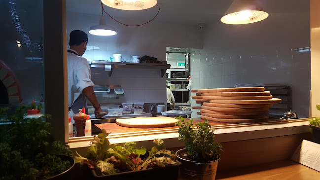 Comentarii opinii despre Rogues Cafe, Restaurant & Bar