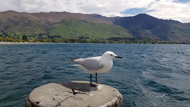 Subway - Hospitality and gastronomy