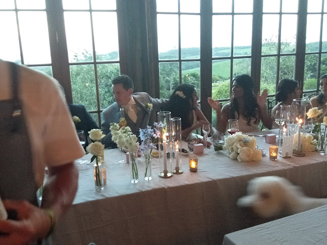 The Archive Bar & Bistro Open Times