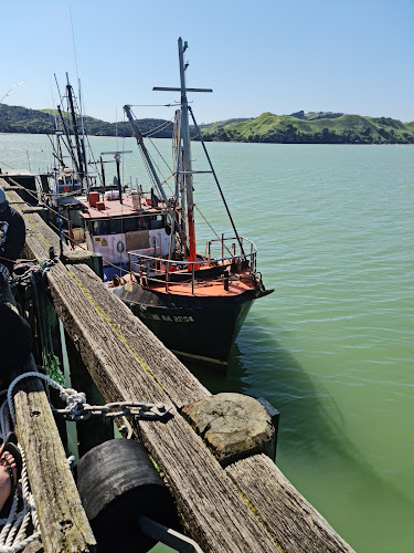 Raglan Fish - Hospitality and gastronomy