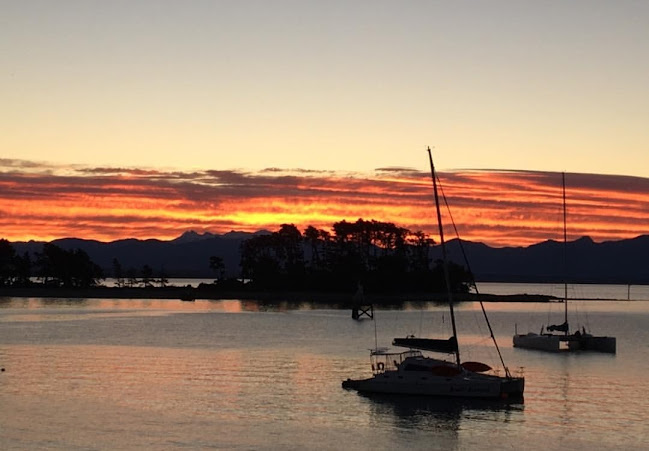 Opinii despre John's kitchen în Nelson - Hospitality and gastronomy