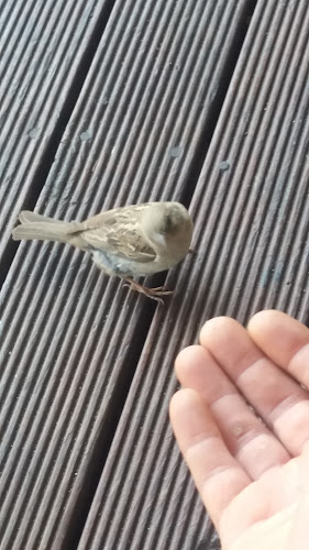 Comentarii opinii despre Maungaturoto Liquor Centre