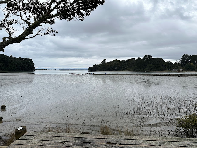 Comments and reviews of Ohiwa Oyster Farm