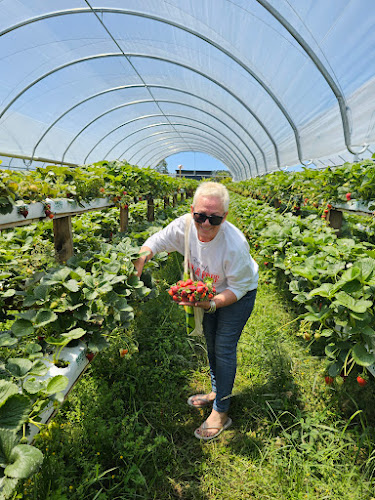 129 Bell Road, Papamoa Beach, Papamoa 3187, New Zealand