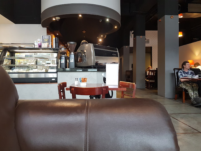 The Black Dog Kitchen & Bar - Dunedin