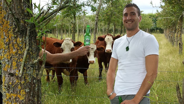 Comments and reviews of The Flaming Rabbit