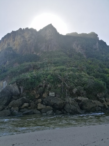 Opinii despre Founders Café în Nelson - Hospitality and gastronomy