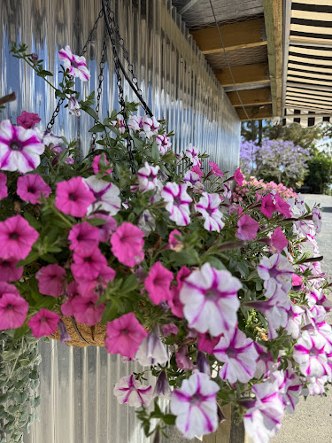 Comentarii opinii despre Keri Berries Farm Store