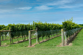 Brightwater Vineyards