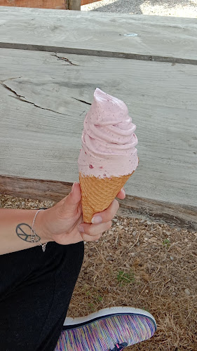 The Big Berry - Hospitality and gastronomy