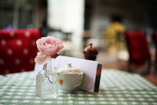 Amici Italian cafe and restaurant - Hospitality and gastronomy