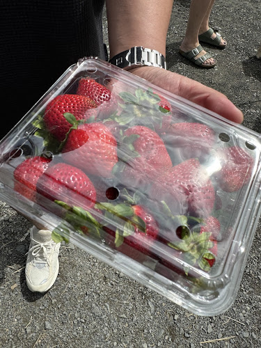 The Clevedon Village Farmers Market - Clevedon