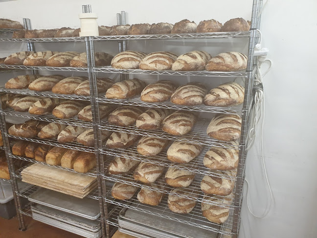 Comentarii opinii despre Shelly Bay Baker