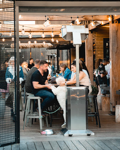 Fantail & Turtle - Auckland