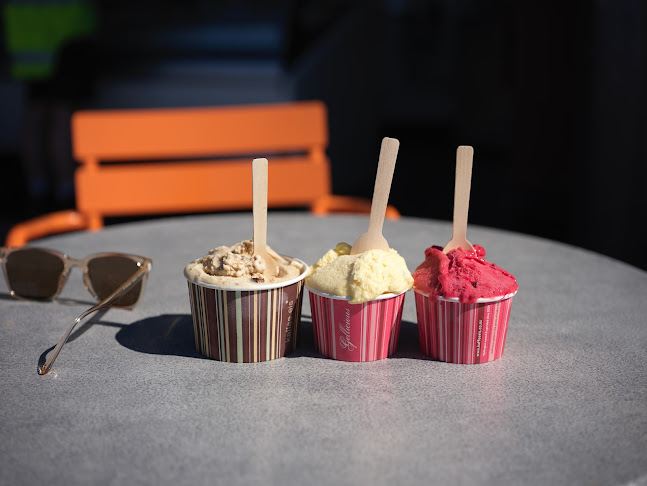 TSB Arena, Wellington 6011, New Zealand