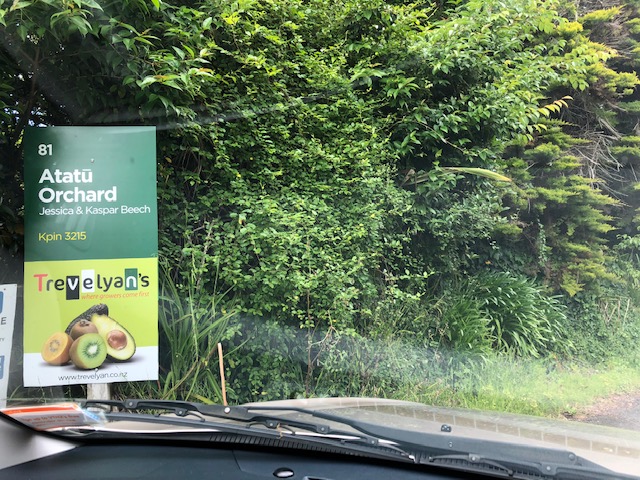 Atatu Orchard