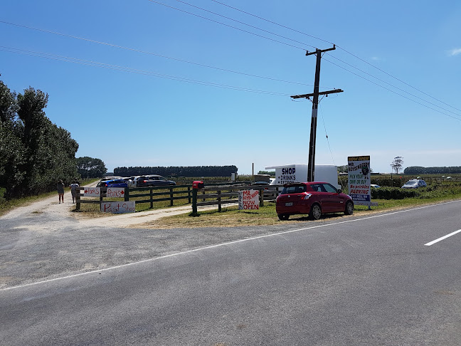 Bell Road Berries - Papamoa