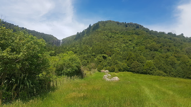 Opinii despre Paddock 66 în Okauia - Hospitality and gastronomy