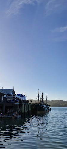 Comentarii opinii despre Raglan Fish