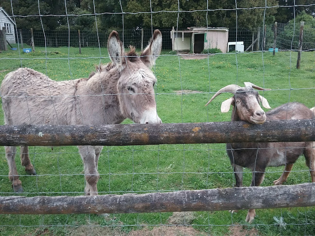 Fitzgerald Glade - Tīrau