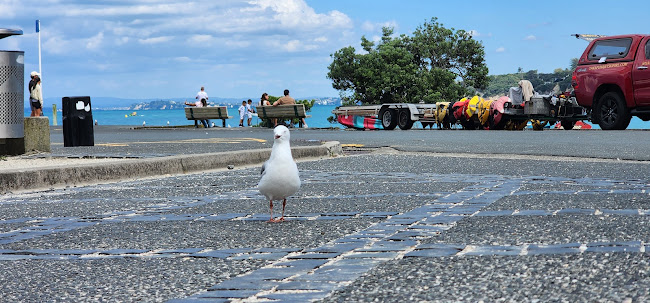 Comentarii opinii despre Takapuna Beach Cafe