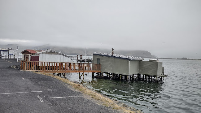 Comentarii opinii despre Eden Cafe