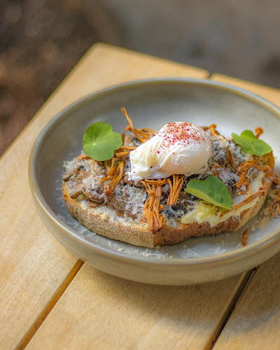 Comentarii opinii despre MELBA Vulcan