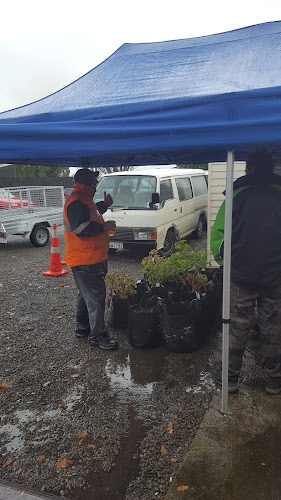 Opinii despre Springston Hotel în Springston - Hospitality and gastronomy