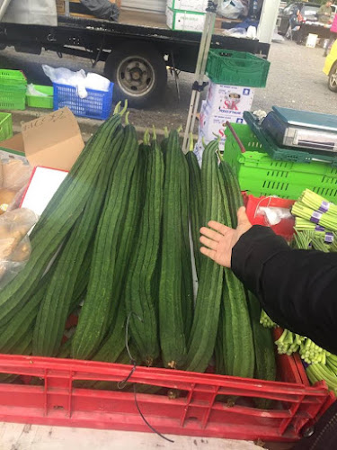 Avondale Sunday Market - Hospitality and gastronomy