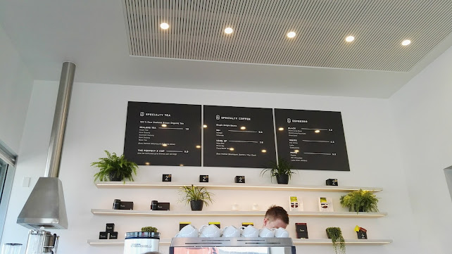 THE ORIGIN - Christchurch