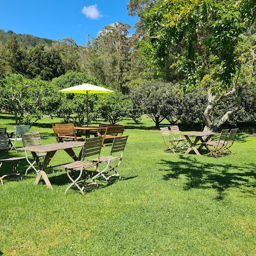 Colenso Country Cafe [ Cafe | Gift Shop | Orchard ] - Hospitality and gastronomy