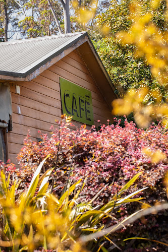 Shadehouse Cafe - Hospitality and gastronomy