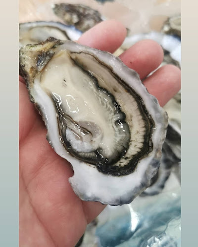 Comentarii opinii despre Eze Feedz