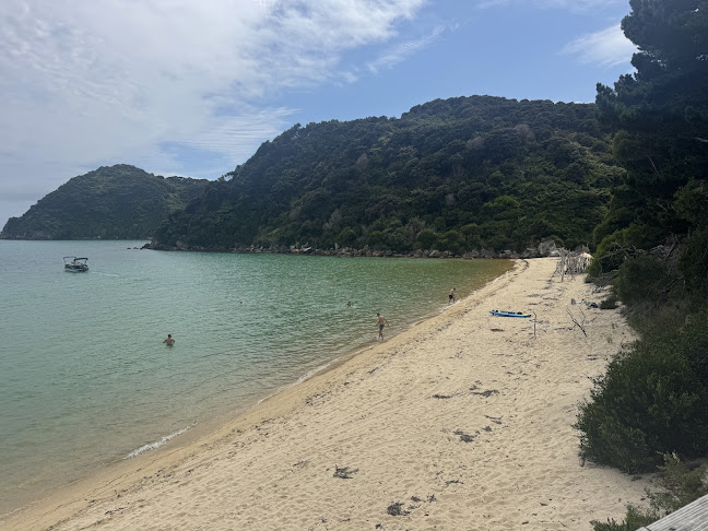 Awaroa Cafe / pizza - Hospitality and gastronomy