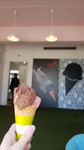 Comentarii opinii despre Carrello del Gelato