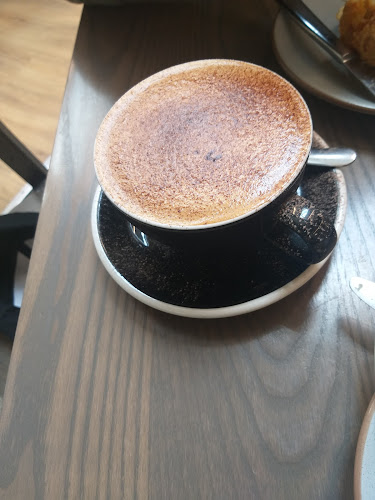 Daily Dose - Dunedin