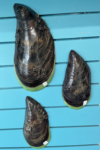 CRE8 RATHBONE - (Quarry Co-op Shop) - Whangārei