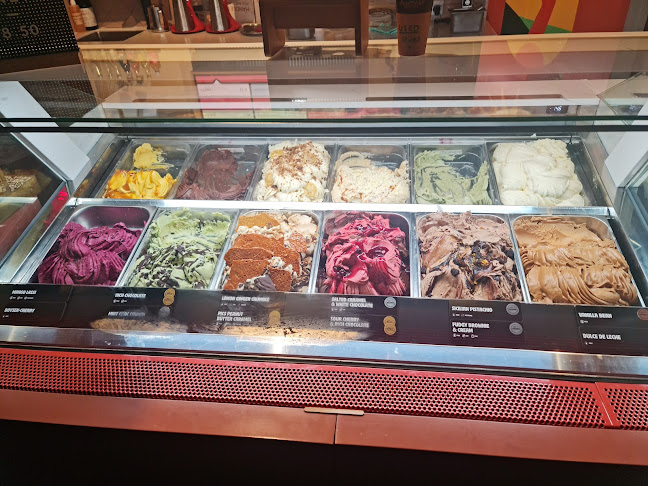 Island Gelato Co. Newmarket - Hospitality and gastronomy